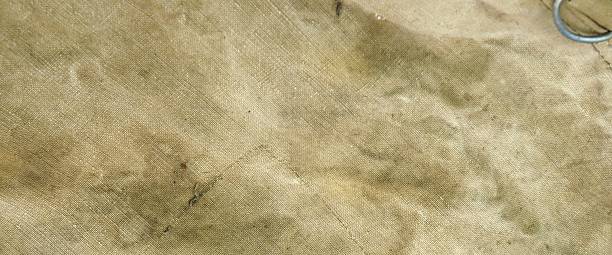 Weathered Old Pale Green Trap Fabric Background