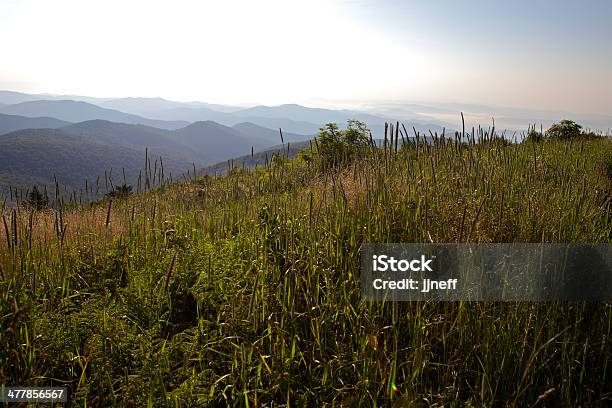 Blue Ridge Mountains Stockfoto und mehr Bilder von Appalachen-Region - Appalachen-Region, Baum, Berg