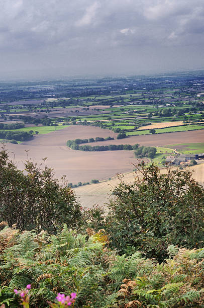 A view of the Oxfordshire landscape from the mighty Chiltern Hills.
