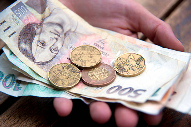 czech money in hand