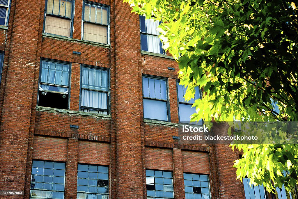 Brique rouge de bâtiment industriel avec arbre lumineux de premier plan - Photo de A l'abandon libre de droits