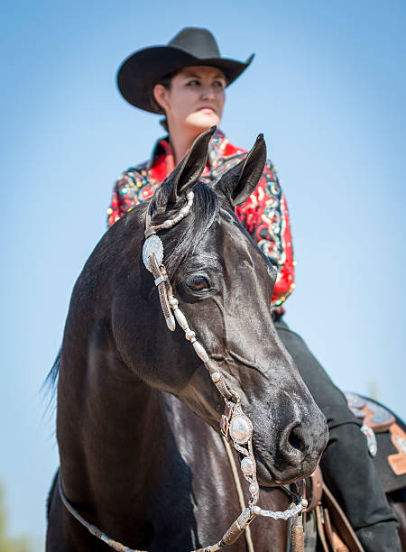 istock Arabian Horse with rider 477858053