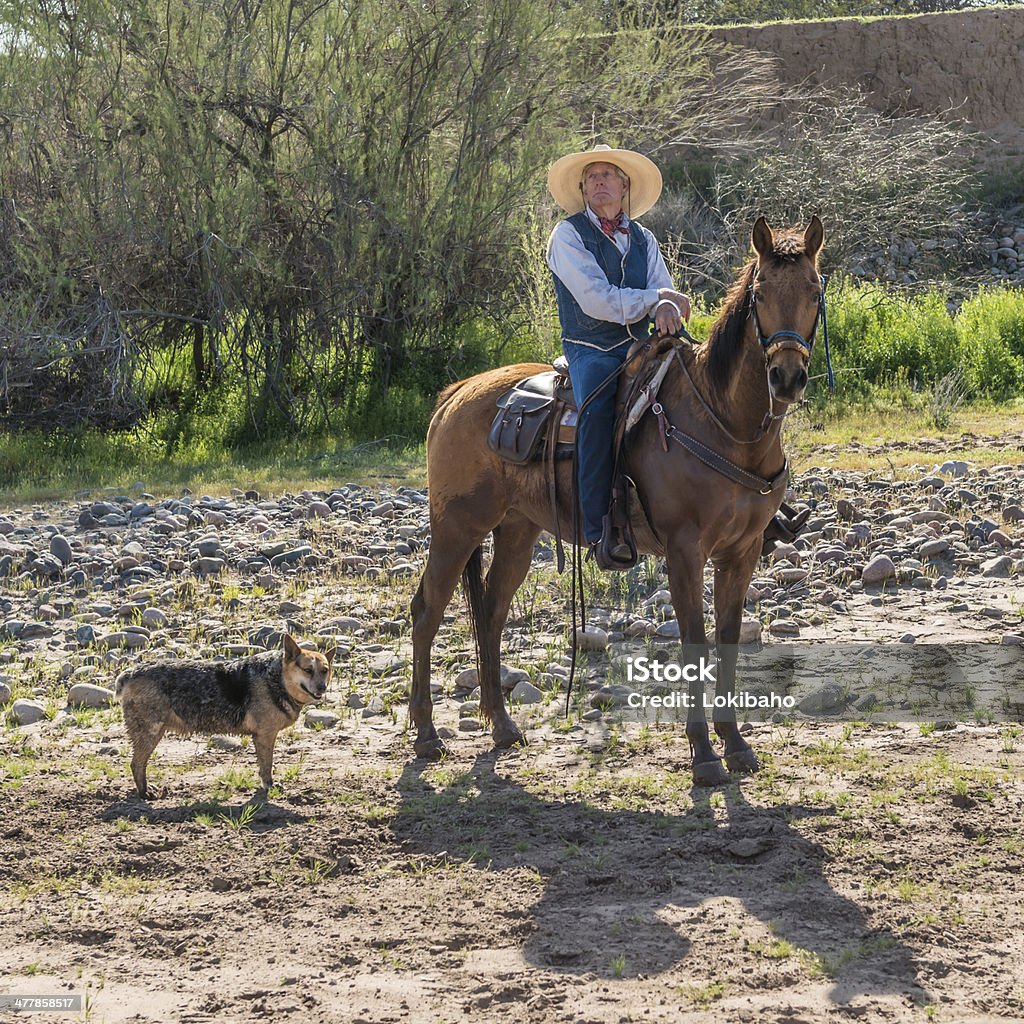 cowboy anziano seduto sul cavallo - Foto stock royalty-free di 70-79 anni