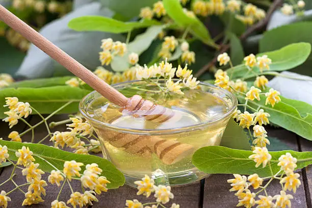 Lime honey with fresh linden flowers