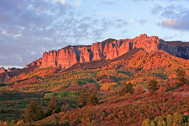 istock Cimarron Ridge, Uncompahgre National Forest, Gunnison county, Colorado 477859211