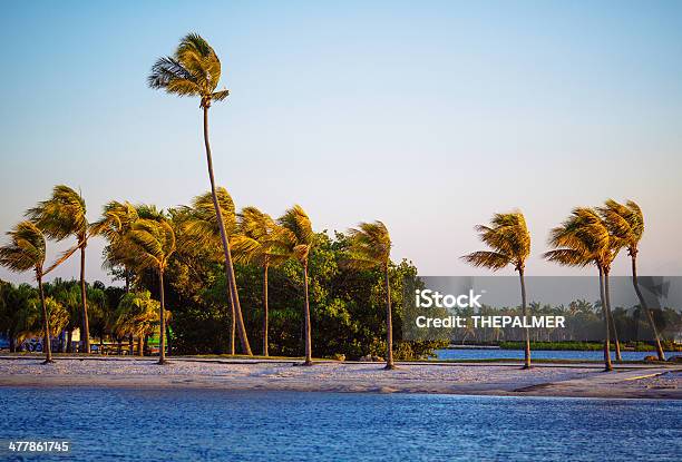 Beach Miami Stockfoto und mehr Bilder von Abenddämmerung - Abenddämmerung, Florida - USA, Fotografie