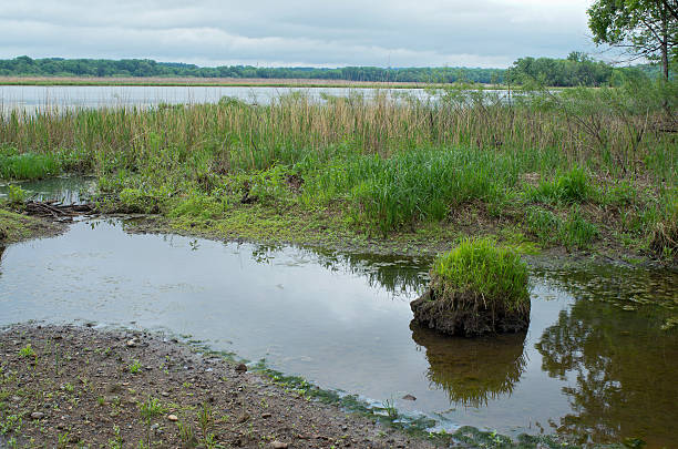 istock Gun Club Lake and Mud Flats 477863908