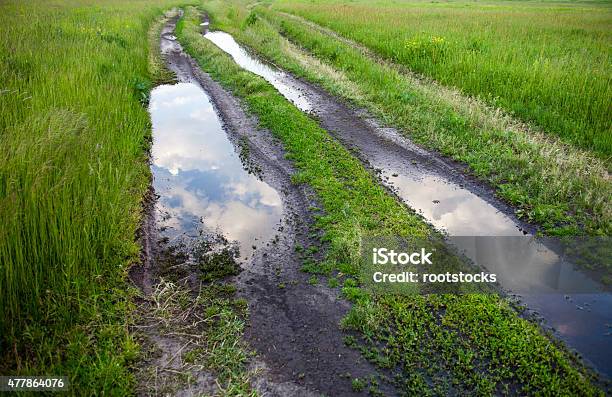 Dirt Road With Puddles In The Green Field Stock Photo - Download Image Now - 2015, Agricultural Field, Cloud - Sky