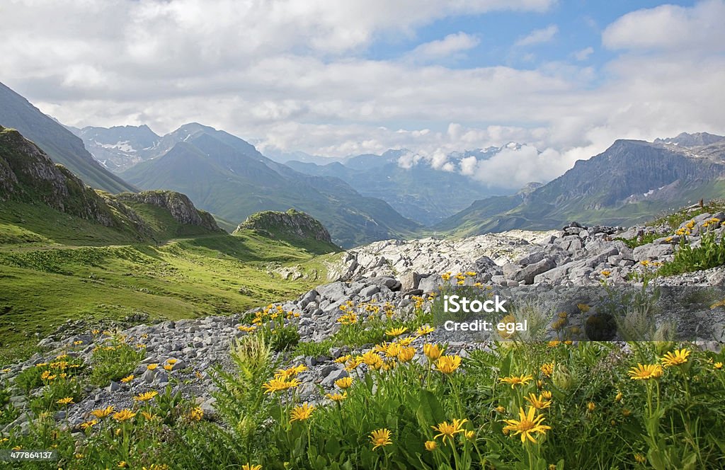 Mountains landscape Mountains landscape in Vorarlberg, Austria Flower Stock Photo