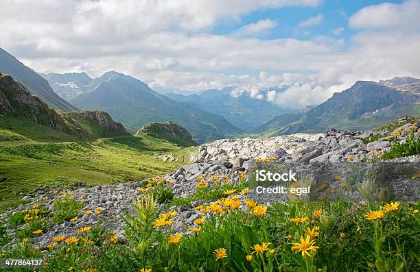 Mountains Landscape Stock Photo - Download Image Now - Flower, Meadow, European Alps