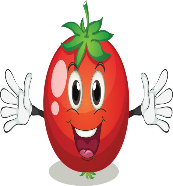 Tomato Tomato on a white background tomato face stock illustrations