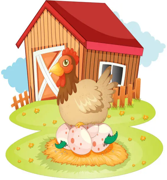 Vector illustration of Farm house and hen