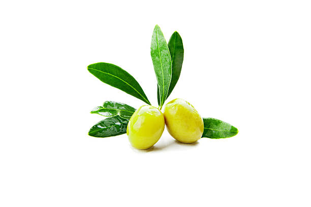 istock Olives with leaves on branch isolated over white 477865921