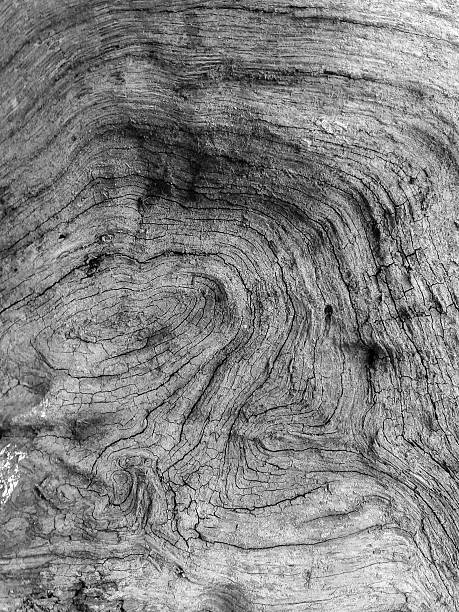 istock surface of the wood plank crack background 477867513