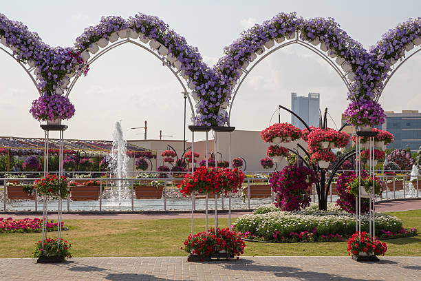 istock Miracle Garden in Dubai 477871775