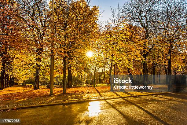 Autumn Season In Oslo Stock Photo - Download Image Now - Oslo, Autumn, Public Park