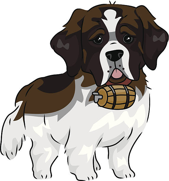 Cute Saint Bernard dog vector art illustration