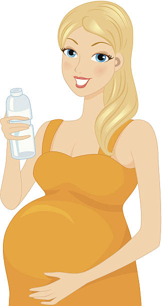 Pregnant woman drinking bottled water vector art illustration