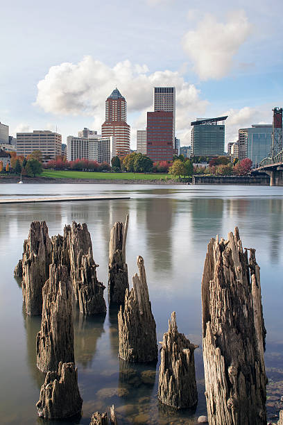 портленд орегон и видом на береговую линию - portland oregon oregon waterfront city стоковые фото и изображения