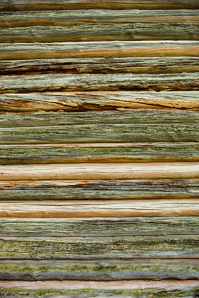 압살했다 벽 늙음 로그 하우스 - log log cabin wood knotted wood 뉴스 사진 이미지