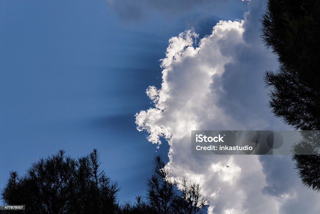 Nuvens sunrays, árvores - Foto de stock de Abstrato royalty-free