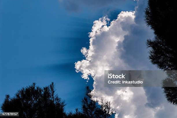 Foto de Nuvens Sunrays Árvores e mais fotos de stock de Abstrato - Abstrato, Acima, Ajardinado