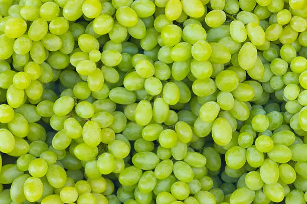 Photo of White wine grapes in a market