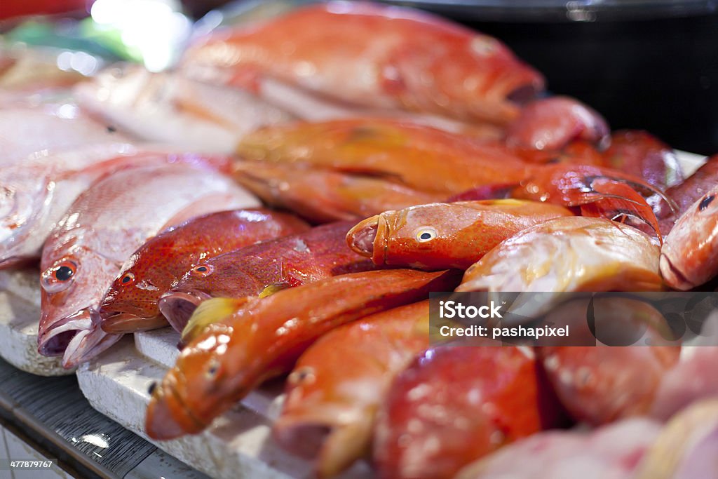 lapu-lapu, red snapper i tuńczyka błękitnopłetwego, owoce morza w rynku - Zbiór zdjęć royalty-free (Bez ludzi)