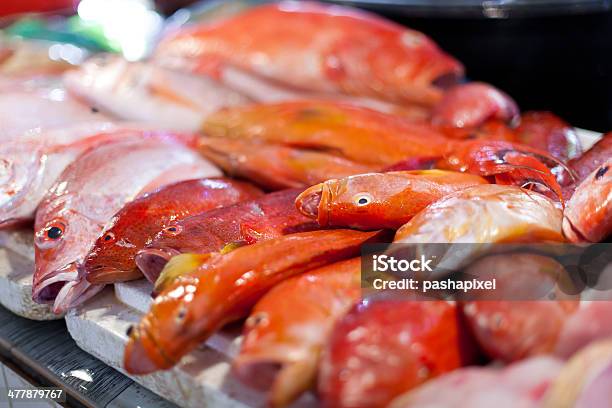Lapulapu Red Snapper I Tuńczyka Błękitnopłetwego Owoce Morza W Rynku - zdjęcia stockowe i więcej obrazów Bez ludzi