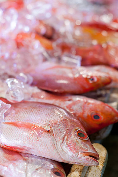 istock Fresh seafood in asian market 477880057