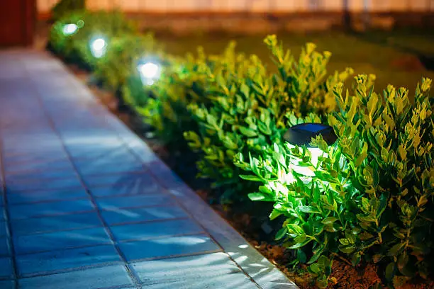 Photo of Solar Garden Light, Lanterns In Flower Bed. Garden Design