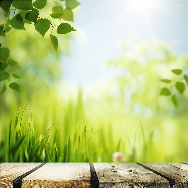istock Abstract natural backgrounds with wooden desk 477880629