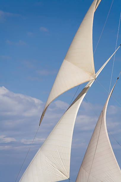 Bateau à voile - Photo