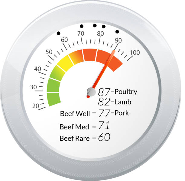 고기류 therometer - thermometer cooking meat gauge stock illustrations