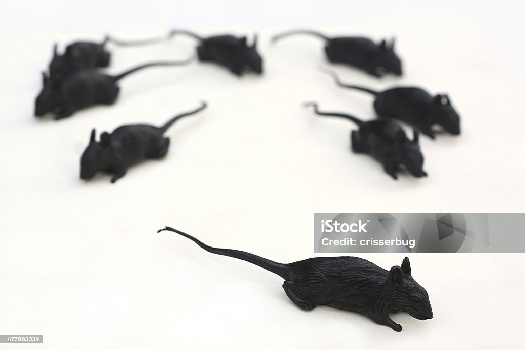 Plastic Black Rats on White Scurrying, plastic, black rats on white. Plastic Stock Photo