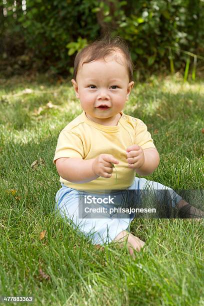Foto de Bebê Feliz Sentada Na Grama e mais fotos de stock de 6-11 meses - 6-11 meses, Bebê, Criança