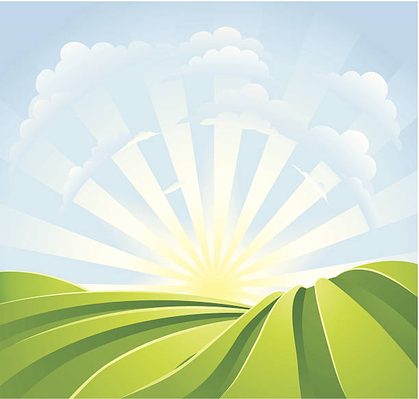 Idyllic green fields with sunshine rays and blue sky Illustration of idyllic green fields with sunshine rays and blue sky. A perfect landscape scene. Vector file is eps 10 and uses transparency blends and gradient mesh rolling field stock illustrations