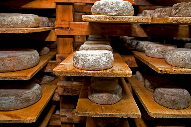 fromage - Photo