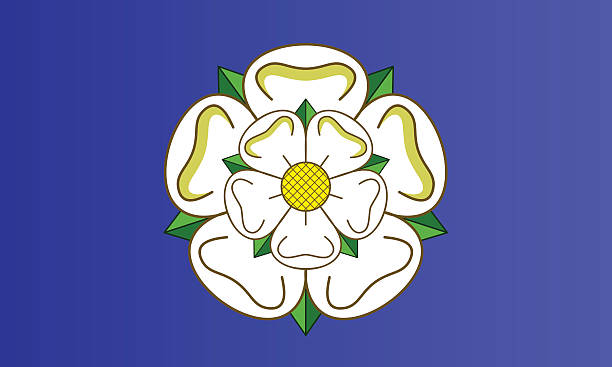 ilustraciones, imágenes clip art, dibujos animados e iconos de stock de bandera de yorkshire - yorkshire