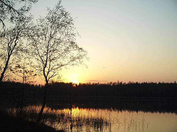 istock Decline on lake in a wood 477884471