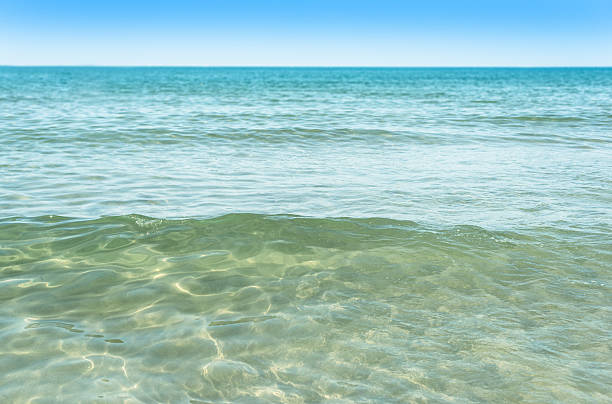 istock Sea swim water 477884815