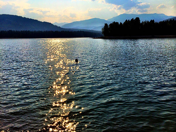 Sun Light Lake Reflection Siskiyou Lake and mountains, Northern California. siskiyou lake stock pictures, royalty-free photos & images