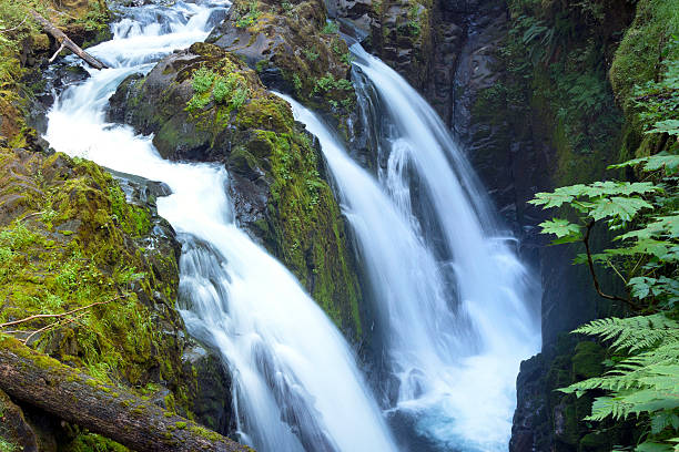 istock Sol Duc Waterfalls in Olympic National Park 477886519