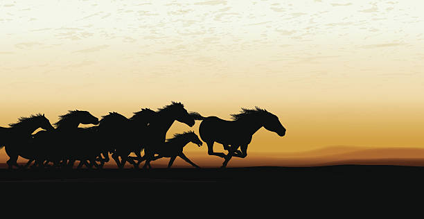 ilustraciones, imágenes clip art, dibujos animados e iconos de stock de wild horse estampida de fondo - caballos salvajes