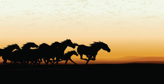 Wild Horse Stampede Background. Graphic silhouette background illustration of a Wild Horse Stampede. Check out my 
