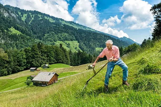 senior mountain farmer mowing with a scythe in the austrian alps,  Bregenzerwald, Vorarlberg