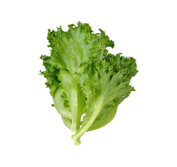 istock Green Frillies Iceberg lettuce on white background 477890048