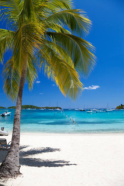 istock Secret Harbour, St. Thomas, US Virgin Islands 477891781
