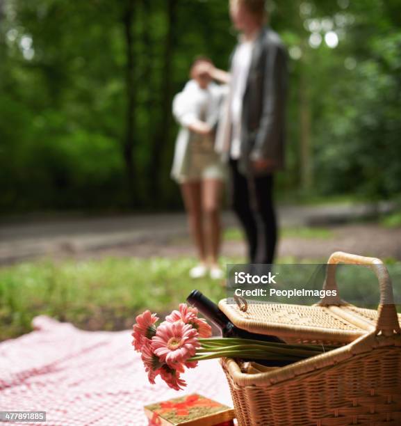 Romantic Surprise In The Forest Stock Photo - Download Image Now - 20-24 Years, 20-29 Years, Adult