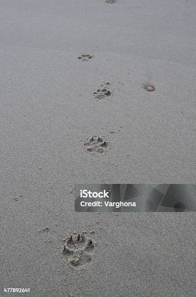 Footprints Stockfoto und mehr Bilder von Fotografie - Fotografie, Fußabdruck, Gehen